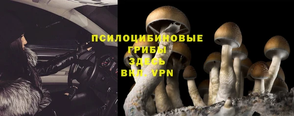 бутират Богданович